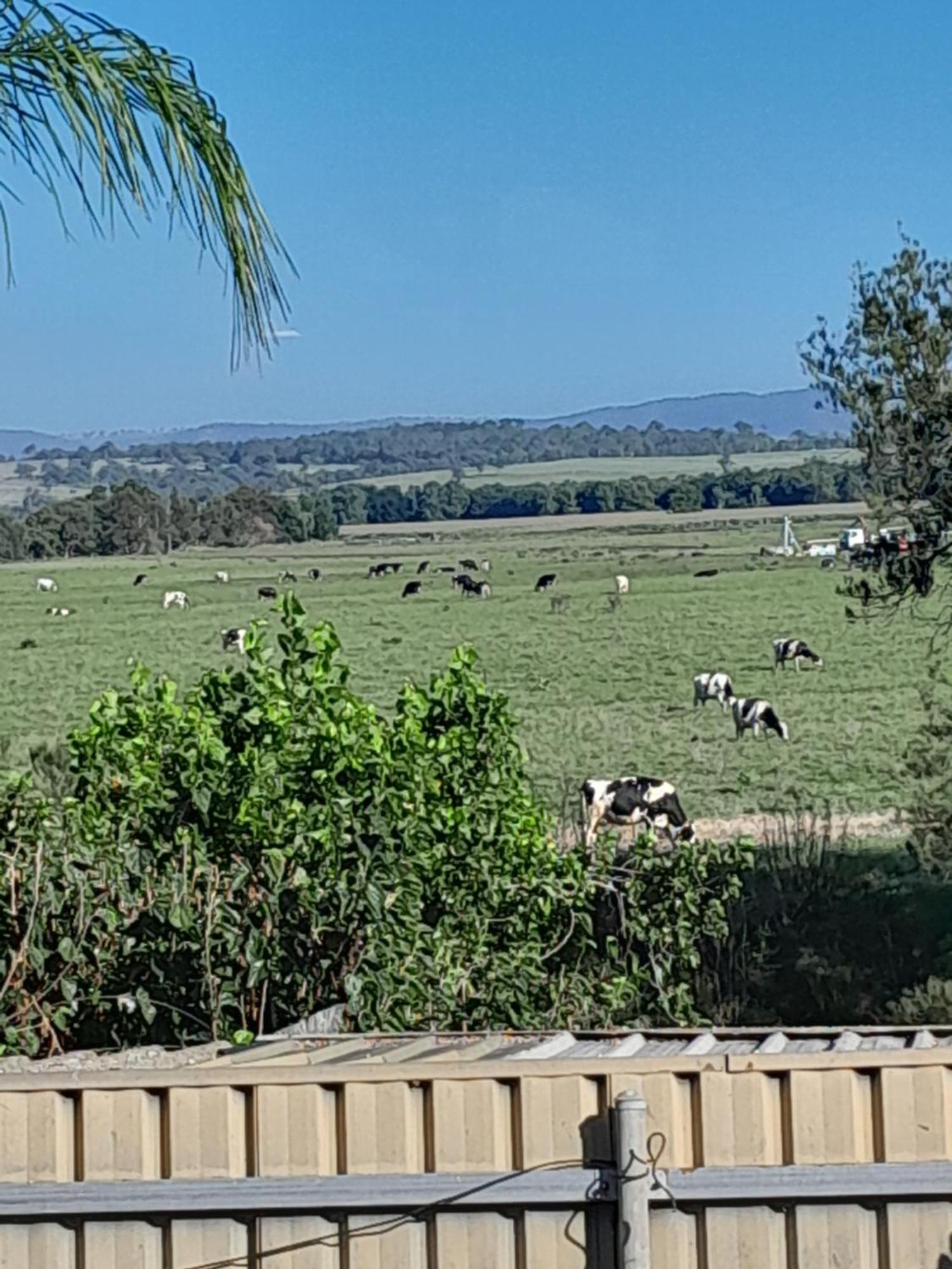 Muswellbrook Northside Bed & Breakfast Kültér fotó